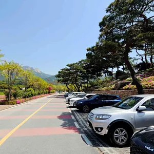 파노라마 베이커리 카페 리뷰 사진