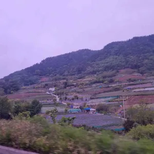 카푸네 리뷰 사진