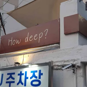 하우딥 리뷰 사진