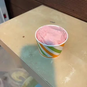 천년소나무 사진