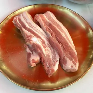 천년소나무 사진