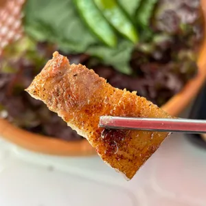 천년소나무 사진