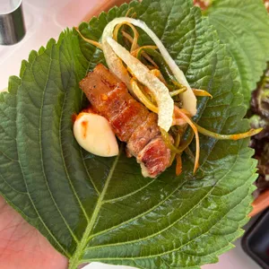 천년소나무 사진