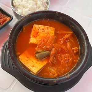 천년소나무 사진