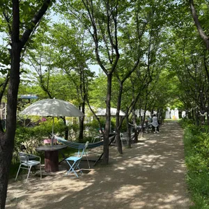 힐링그라운드 리뷰 사진