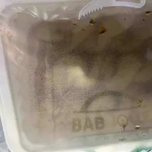 밥줄 사진