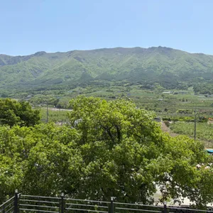 카페 산내랑 리뷰 사진