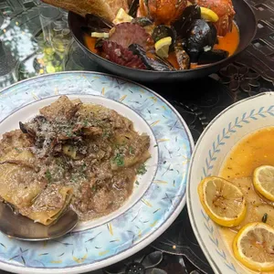 쇼니노 사진