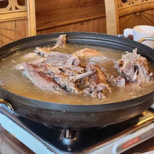 솔향기 사진