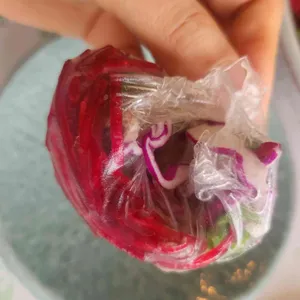 아초원 사진