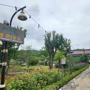 아초원 리뷰 사진