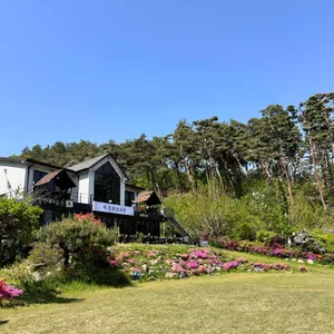 하춘화 보리밥 리뷰 사진