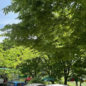 부산집 리뷰 사진