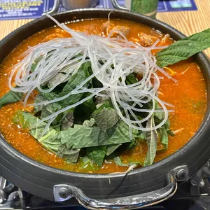 양군 사진