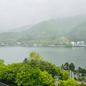 고우다 대표 사진