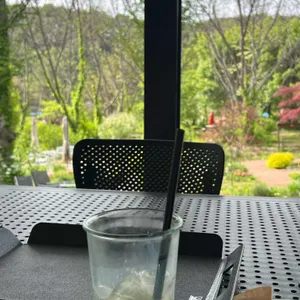 카페 숲 사진