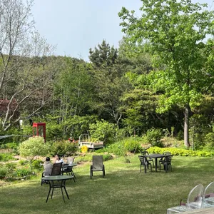 카페 숲 리뷰 사진
