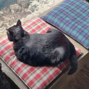 홉히 리뷰 사진