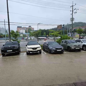 조선보리밥 리뷰 사진
