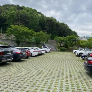 마지카운티 리뷰 사진