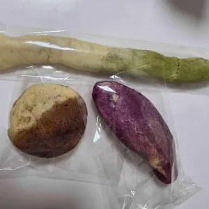 미마인 사진