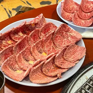 초원 사진