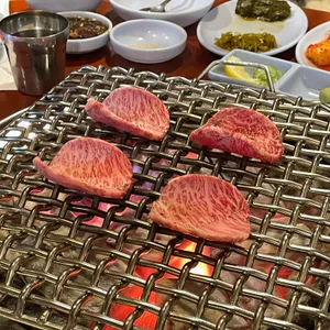 초원 사진