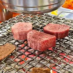 초원 사진