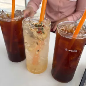브루다 사진