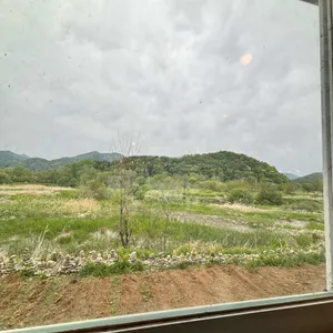 황태비빔국수 리뷰 사진