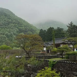 아원 리뷰 사진