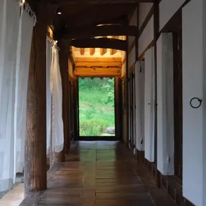 아원 리뷰 사진