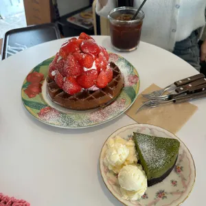 발루토 오목눈이 사진