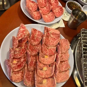 초원 사진