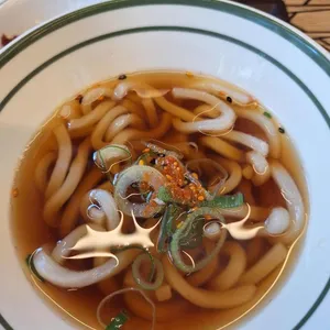 아비꼬 사진