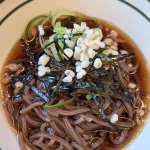 아비꼬 사진
