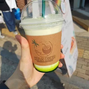 할로부코 코코넛 카페 사진
