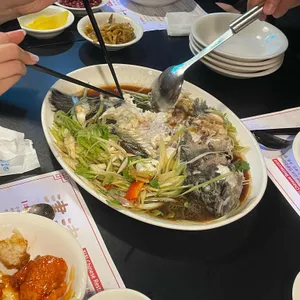 진진 사진