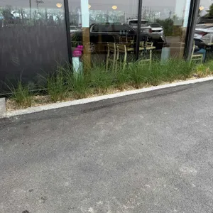 꽁당보리밥 리뷰 사진