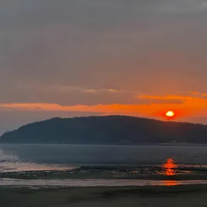 미음 리뷰 사진
