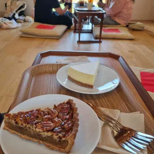 테라로사 사진