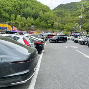 서울식당 리뷰 사진