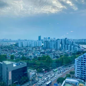 선재 리뷰 사진