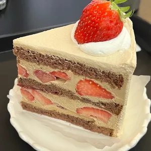 퀸트 사진