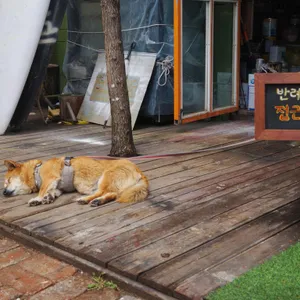 뻘다방 대표 사진