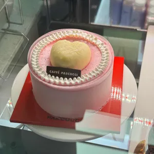 파스쿠찌 사진