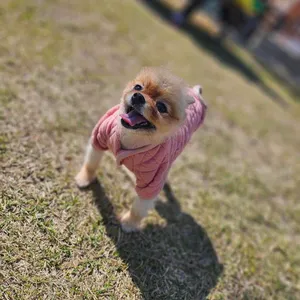 카페청 리뷰 사진