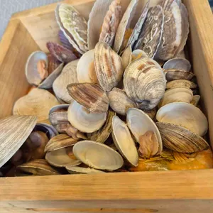 크랩파파 사진