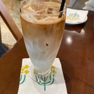 카페 나팔꽃 사진