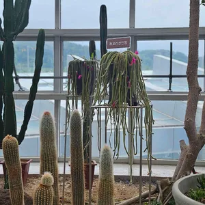 백련카페 리뷰 사진